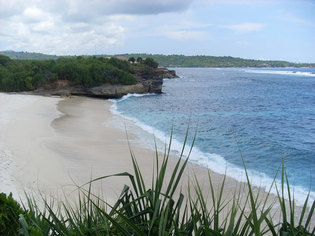 Naradas Mushroom * Lembongan
